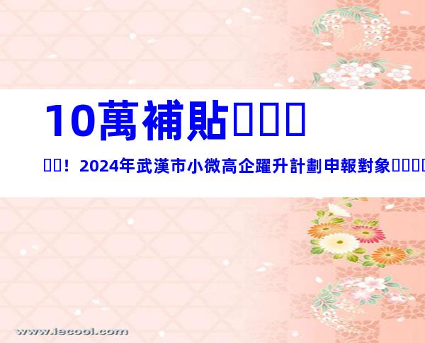 10萬補貼！2024年武漢市小微高企躍升計劃申報對象、程序